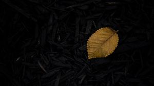 Preview wallpaper leaf, grass, yellow, dark