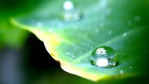 Preview wallpaper leaf, green, drop, dew, major