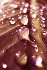 Preview wallpaper leaf, green, drops, dew