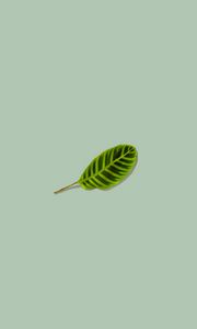 Preview wallpaper leaf, green, minimalism