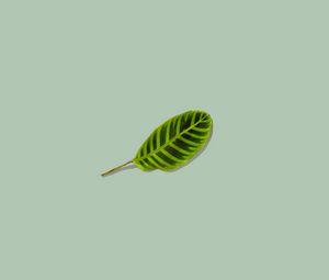 Preview wallpaper leaf, green, minimalism