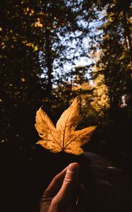 Preview wallpaper leaf, hand, autumn, yellow