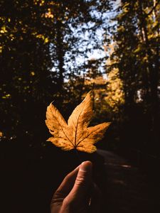 Preview wallpaper leaf, hand, autumn, yellow