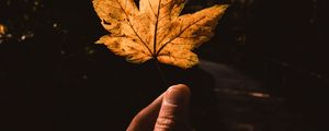 Preview wallpaper leaf, hand, autumn, yellow