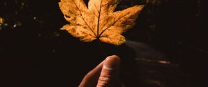 Preview wallpaper leaf, hand, autumn, yellow