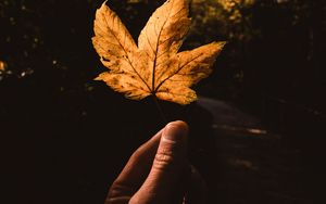 Preview wallpaper leaf, hand, autumn, yellow
