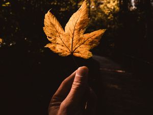 Preview wallpaper leaf, hand, autumn, yellow