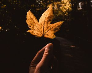 Preview wallpaper leaf, hand, autumn, yellow
