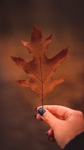 Preview wallpaper leaf, hand, autumn, macro