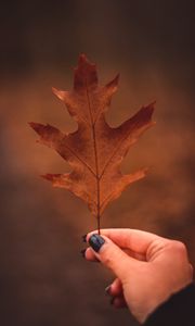 Preview wallpaper leaf, hand, autumn, macro