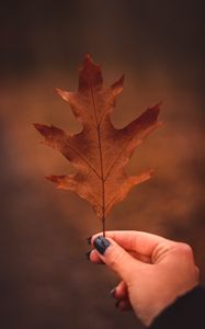 Preview wallpaper leaf, hand, autumn, macro