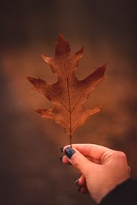 Preview wallpaper leaf, hand, autumn, macro