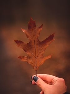 Preview wallpaper leaf, hand, autumn, macro