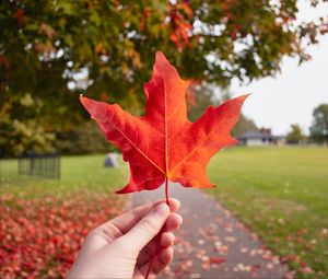 Preview wallpaper leaf, hand, autumn, maple, red