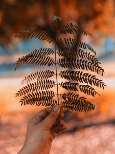 Preview wallpaper leaf, hand, branch, plant, blur