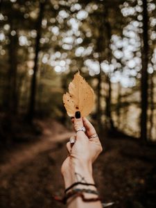 Preview wallpaper leaf, hand, dry, yellow, autumn