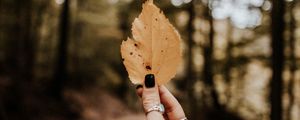 Preview wallpaper leaf, hand, dry, yellow, autumn