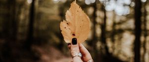 Preview wallpaper leaf, hand, dry, yellow, autumn