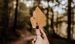 Preview wallpaper leaf, hand, dry, yellow, autumn