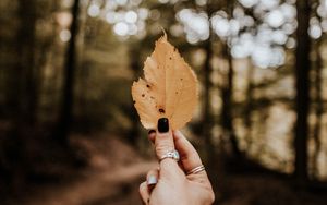 Preview wallpaper leaf, hand, dry, yellow, autumn