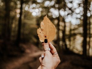Preview wallpaper leaf, hand, dry, yellow, autumn
