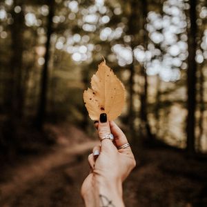 Preview wallpaper leaf, hand, dry, yellow, autumn