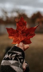 Preview wallpaper leaf, hand, dry, brown, maple