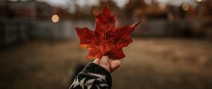 Preview wallpaper leaf, hand, dry, brown, maple