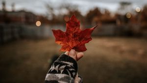 Preview wallpaper leaf, hand, dry, brown, maple