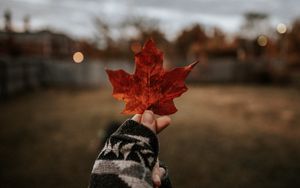 Preview wallpaper leaf, hand, dry, brown, maple