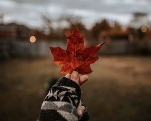 Preview wallpaper leaf, hand, dry, brown, maple