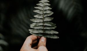 Preview wallpaper leaf, hand, fern, macro