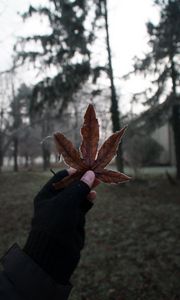 Preview wallpaper leaf, hand, fingers, glove