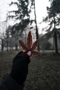 Preview wallpaper leaf, hand, fingers, glove