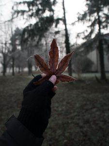 Preview wallpaper leaf, hand, fingers, glove