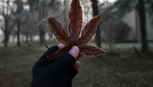 Preview wallpaper leaf, hand, fingers, glove