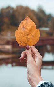 Preview wallpaper leaf, hand, fingers, autumn