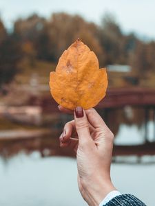 Preview wallpaper leaf, hand, fingers, autumn