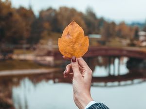 Preview wallpaper leaf, hand, fingers, autumn