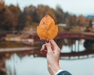 Preview wallpaper leaf, hand, fingers, autumn