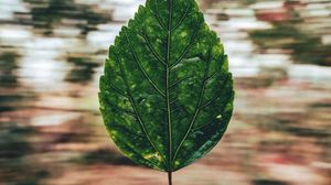 Preview wallpaper leaf, hand, long exposure