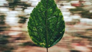 Preview wallpaper leaf, hand, long exposure