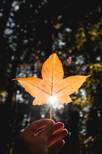 Preview wallpaper leaf, hand, sun, dry, yellow, autumn