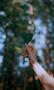 Preview wallpaper leaf, heart, hand, focus