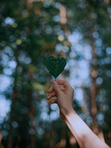 Preview wallpaper leaf, heart, hand, focus