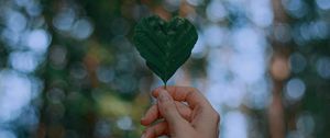 Preview wallpaper leaf, heart, hand, focus