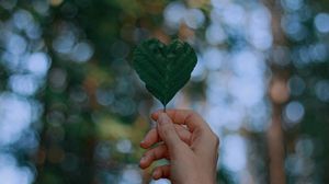 Preview wallpaper leaf, heart, hand, focus