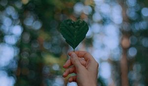 Preview wallpaper leaf, heart, hand, focus
