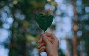 Preview wallpaper leaf, heart, hand, focus