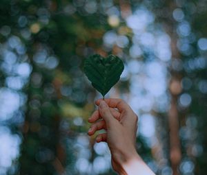 Preview wallpaper leaf, heart, hand, focus